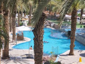 - une piscine avec des palmiers dans un complexe dans l'établissement sea side eilat holiday apartment, à Eilat