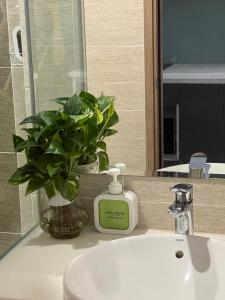 a bathroom sink with a bottle of soap and a plant at Vinhome Smartcity - Căn hộ cao cấp full tiện ích TTA in Hanoi