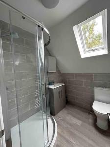 baño con ducha y aseo y ventana en Hedgehog Cottage, en Bury Saint Edmunds