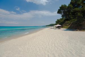 a beach with a umbrella and chairs and the ocean at Palladium Hotel in Kriopigi