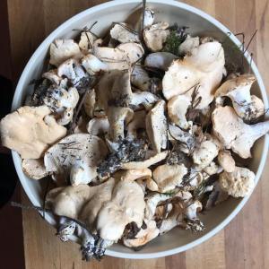 Billede fra billedgalleriet på Charming country house in the forest, with heated pool i Cerdon