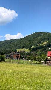 シュチルクにあるSun&Sport Apartament TURKUS w super lokalizacji niedaleko wyciąguの山を背景にした緑草原