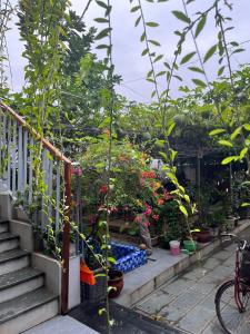 un montón de plantas en las escaleras de una casa en Villa Đường Lâm- Sơn Tây en Hanoi