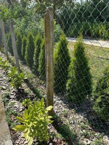 a fence with some bushes and a bunch of trees at Къща за гости Ива 