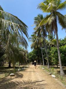 une personne se promenant sur un chemin de terre avec des palmiers dans l'établissement Kirãmam Villa, à Pasikuda