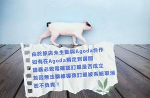 a white cat walking on top of a napkin at Mooning the Hill in Manzhou