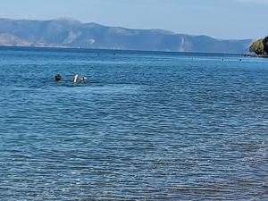 a group of people swimming in a large body of water at Xylokastro - Wayhome PHIVI in Xylokastro