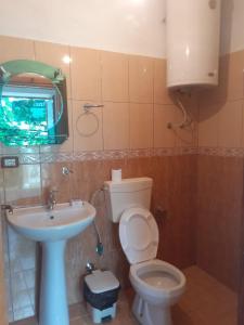 y baño con aseo, lavabo y espejo. en Villa Balliu, en Pogradec