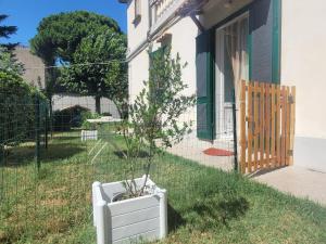 a potted tree in a white pot in front of a house at Casa Siria in Livorno