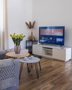 TV a/nebo společenská místnost v ubytování Apartment Greba