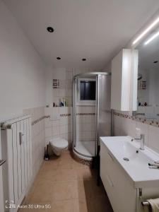 La salle de bains est pourvue d'une douche, de toilettes et d'un lavabo. dans l'établissement Apartment am Schillerteich, à Wolfsburg