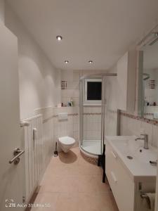 La salle de bains est pourvue de toilettes, d'un lavabo et d'une douche. dans l'établissement Apartment am Schillerteich, à Wolfsburg