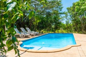 a swimming pool with chairs and trees in the background at Leopard Walk Lodge in Hluhluwe