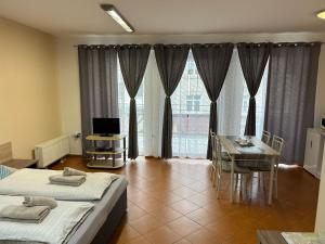 Televízia a/alebo spoločenská miestnosť v ubytovaní Kondé Apartments C