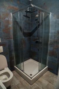 a shower stall in a bathroom with a toilet at Apartman “Ada” in Sarajevo