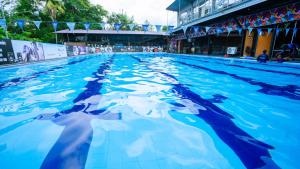 - une piscine avec des dauphins dans l'eau dans l'établissement Quest Colombo Residencies, à Talawatugoda