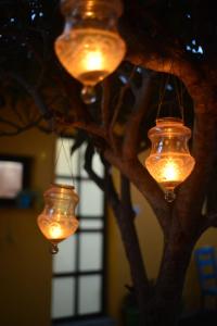 um grupo de lâmpadas penduradas numa árvore em Quiet place 3 km from caesarea em Or ‘Aqīvāh