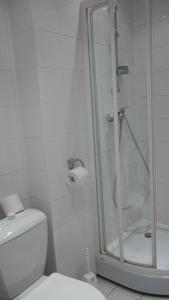 a white bathroom with a shower and a toilet at City Inn Riga Apartment, Town Hall view with parking in Rīga +15 photos