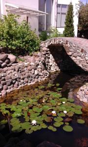 En have udenfor Dzīvoklis Nr. 7 + 1 billede