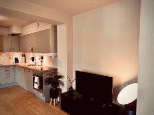 a living room with a television and a kitchen at Magnificent Modern Apartment Central Oslo in Oslo