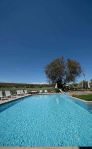 une grande piscine avec des chaises et un arbre dans l'établissement Resort con piscina e vicino al mare, à San Cono