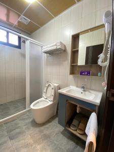 un bagno con wc, lavandino e doccia di 亞士密民宿 a Puli
