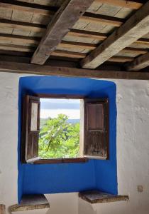 ein blaues Fenster in einem Zimmer mit einem Baum in der Unterkunft Ca n'Heras in Canet de Adri