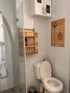 テルアビブにあるAmazing private loft apartment, Tel Aviv Jaffaのバスルーム(トイレ、ガラス張りのシャワー付)
