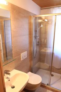 a bathroom with a shower and a toilet and a sink at Casa Elisa in Pozza di Fassa +49 photos