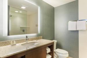 a bathroom with a sink and a toilet and a mirror at Residence Inn by Marriott Orlando Downtown in Orlando