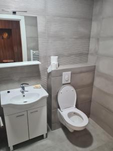 a bathroom with a white toilet and a sink at Apartman Ranka in Lukavica +3 photos
