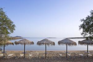 a group of chairs and umbrellas on a beach at Contaratos Beach Hotel in Naousa