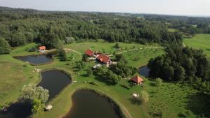 an aerial view of a farm with a group of animals at Anykščiai MĖNULIO AKMUO 
