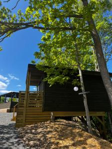 una piccola cabina nera con un albero in primo piano di Vättervy Glamping- Ravinstuga a Habo