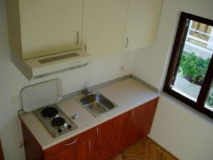 Kuchyň nebo kuchyňský kout v ubytování Apartments Đerek Pisak