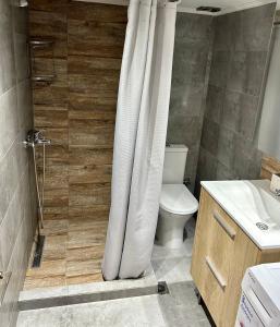 a bathroom with a shower with a toilet and a sink at Centro Alexandroupolis 1 in Alexandroupoli