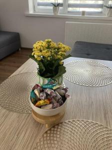 Posedenie v ubytovaní Apartament w Centrum Malborka