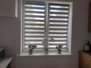Kuchyňa alebo kuchynka v ubytovaní Apartament w Centrum Malborka + 4 fotografie