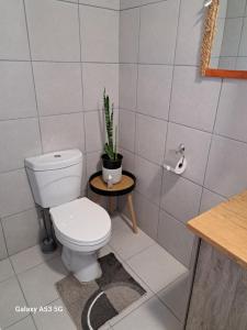 een badkamer met een toilet en een potplant bij 2FiftySix on Second in Lüderitz