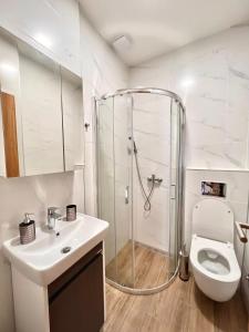 贝尔格莱德Dani Lux Belgrade Center Studio Apartment的带淋浴、马桶和水槽的浴室