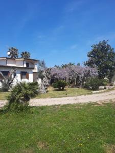 ein Haus mit blühenden Bäumen und einer Feldstraße in der Unterkunft Villa del Ruach in Struda