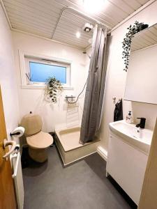 Baño pequeño con aseo y lavamanos en Cozy apartment in Klaksvík en Klaksvík
