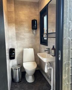 a bathroom with a toilet and a sink at Vättervy Glamping- Ravinstuga in Habo