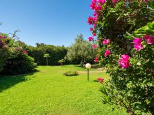 Notteri的住宿－Holiday Home Carlo-2 by Interhome，草地上种着粉红色花的花园