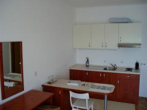 Kuchyň nebo kuchyňský kout v ubytování Apartments Đerek Pisak