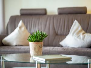 einen Tisch mit einer Topfpflanze auf einer Couch in der Unterkunft Apartment F 55 by Interhome in Dittishausen