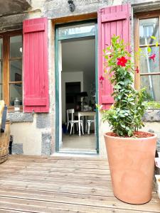une plante en pot posée sur une terrasse en bois avec des volets roses dans l'établissement C la reserve - St Rose Bleu, à Clermont-Ferrand