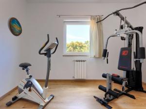a gym with two exercise bikes and a window at Holiday Home Licardo by Interhome in Štinjan