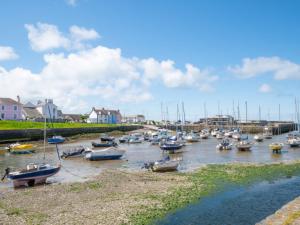 a group of boats are docked in a harbor at Apartment Harbour View by Interhome in Aberaeron