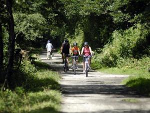 a group of people riding bikes down a trail at Holiday Home Monte Gordo by Interhome in Padstow